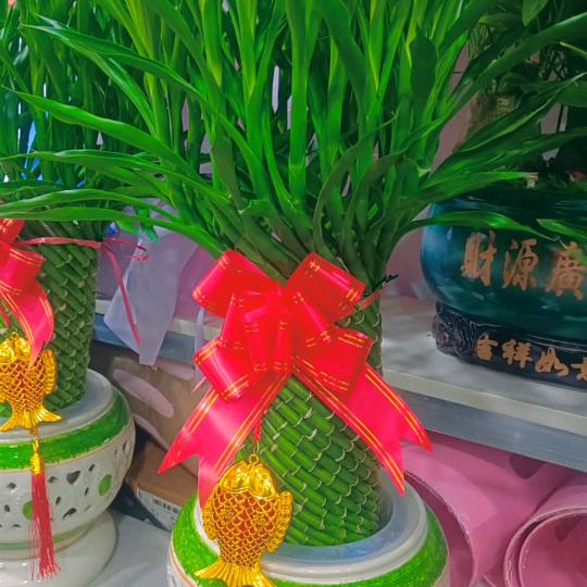 姐不是当年的姐♥
