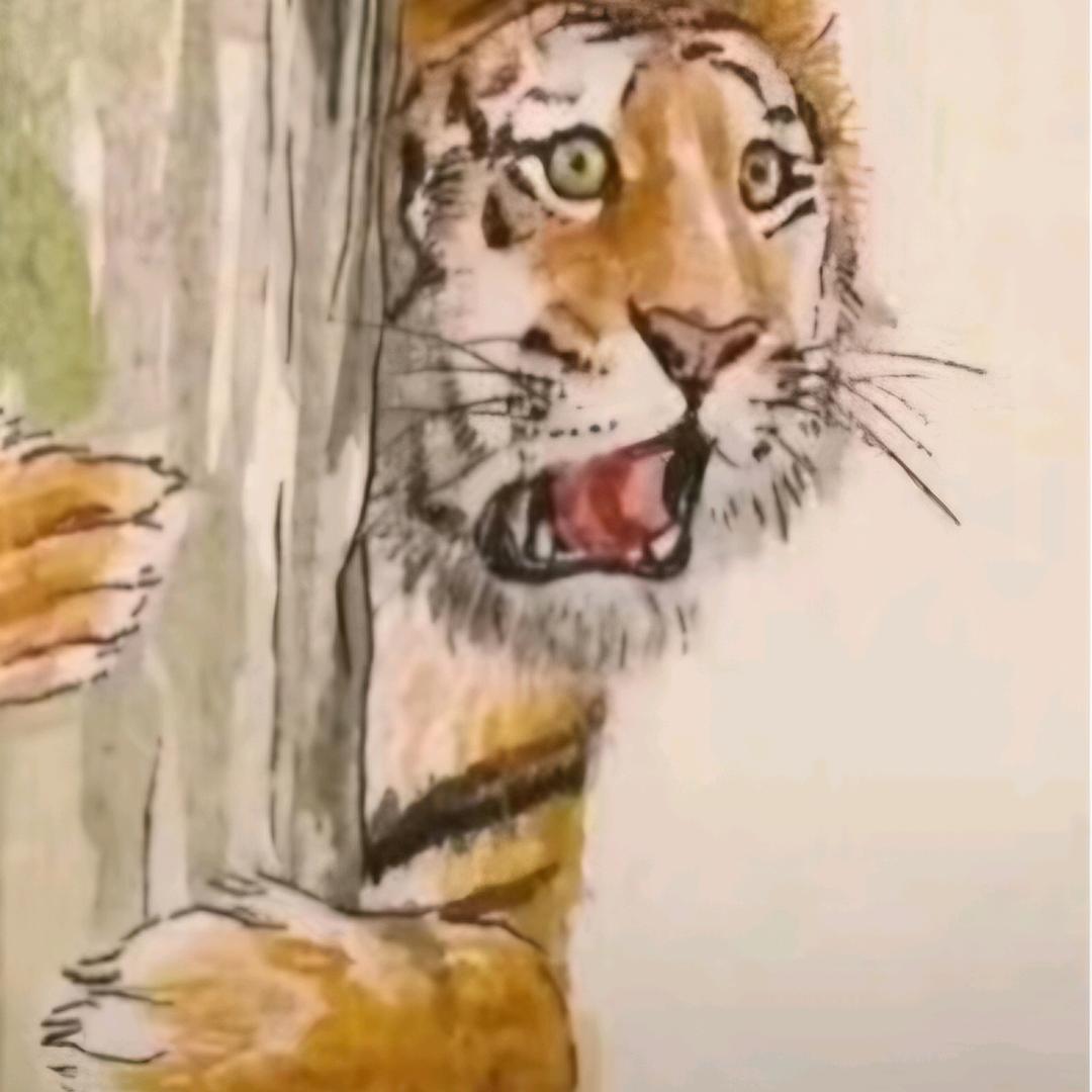 ㅤ     ㅤ抱树虎