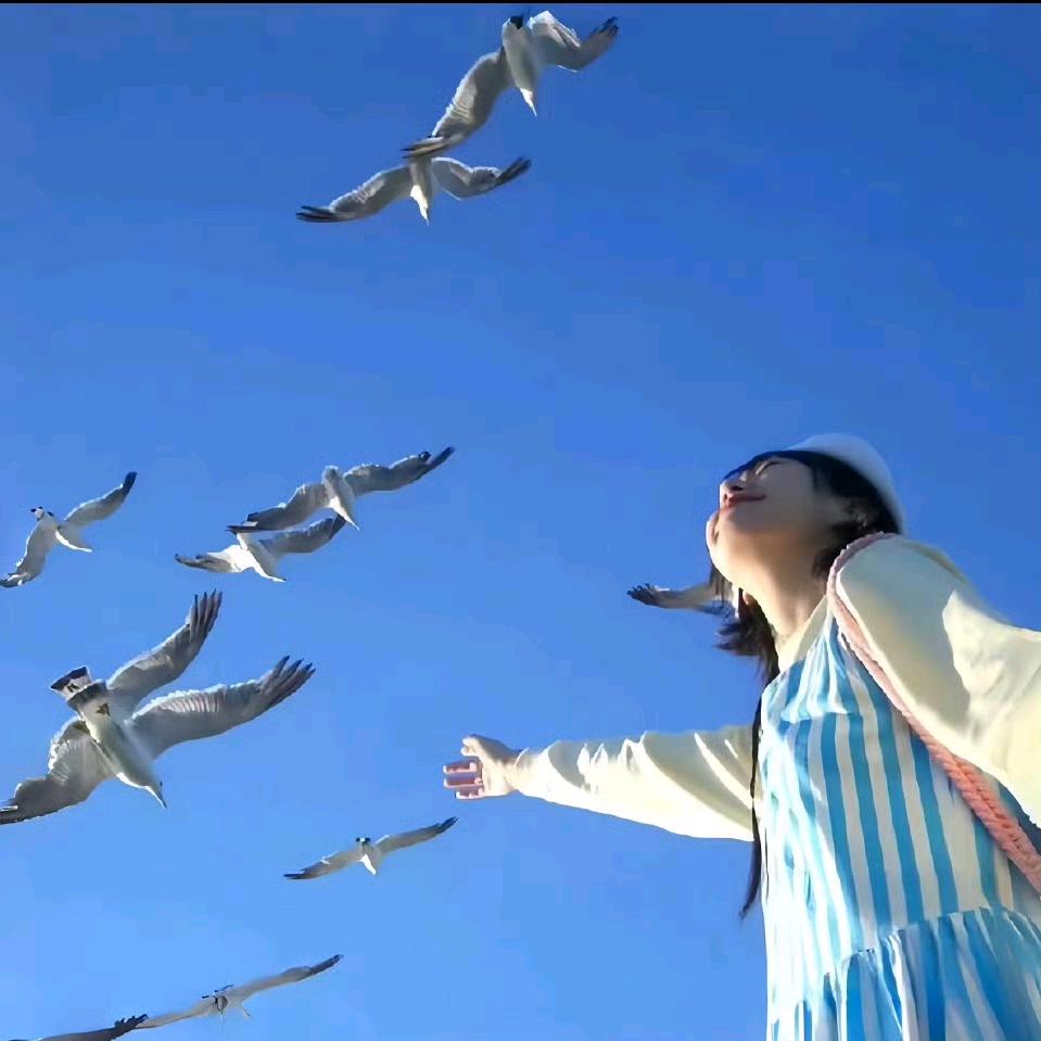 木禾🌾