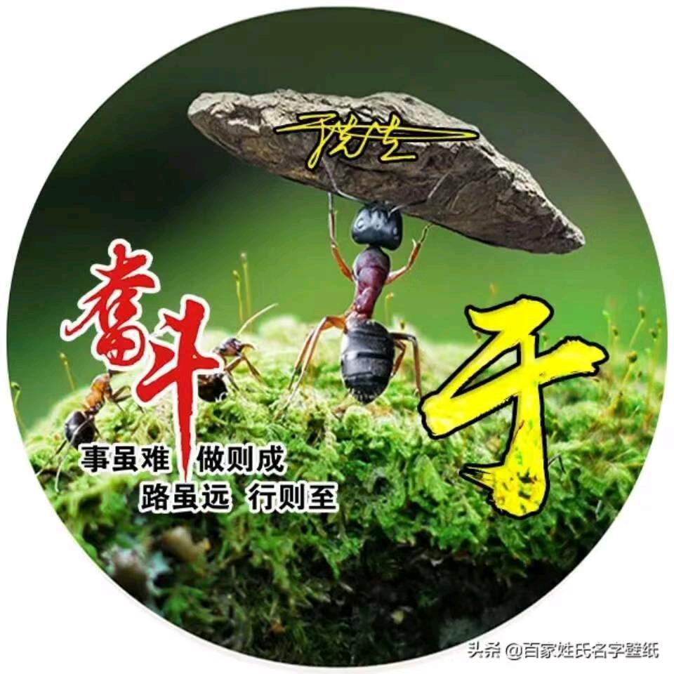 于姐