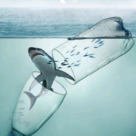 🌸城南花已开🌸