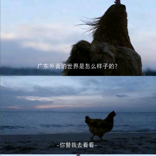 不止火