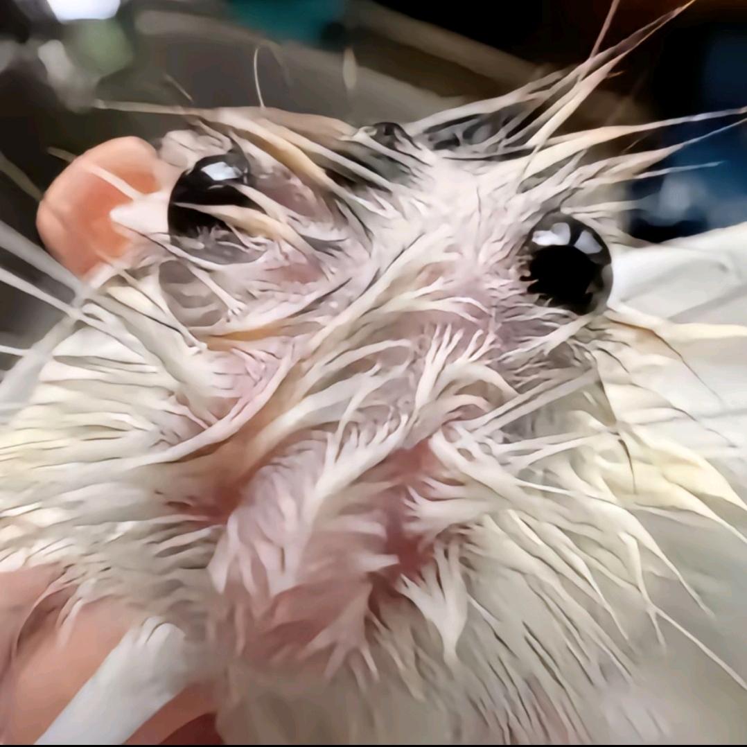 看不惯我就请我去死吧