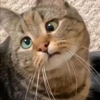 我的天