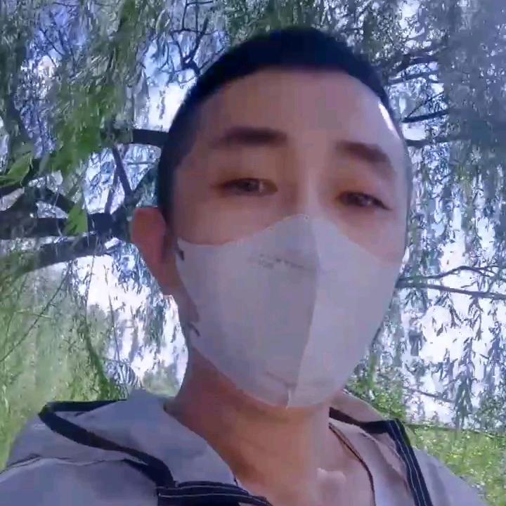 🍁一片枫叶🍁