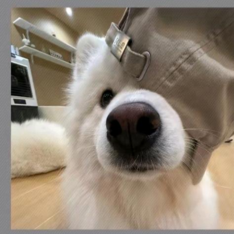 不瘦到100不改名