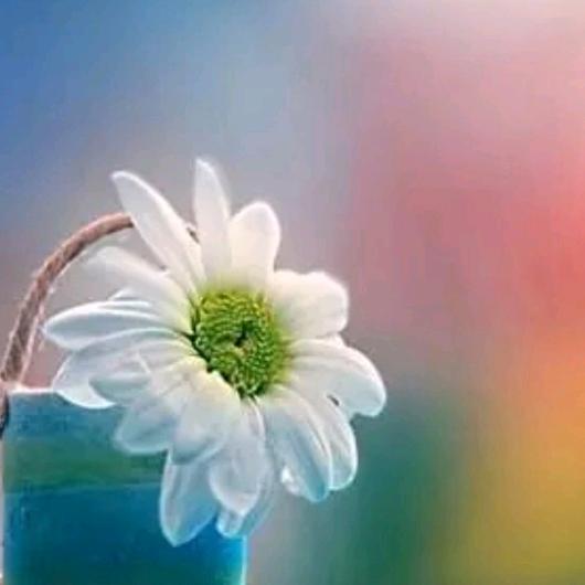 我喜欢小的（拒合拍）