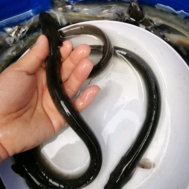 启航水产