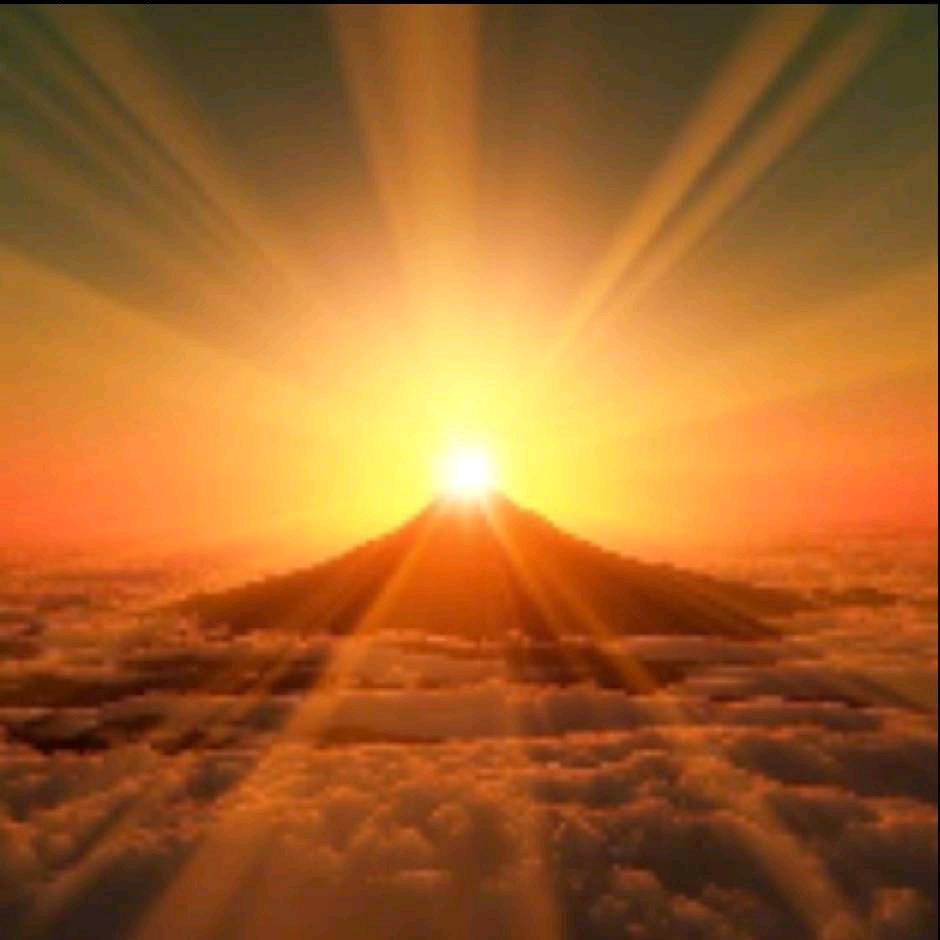 杂货铺美好橱窗下单