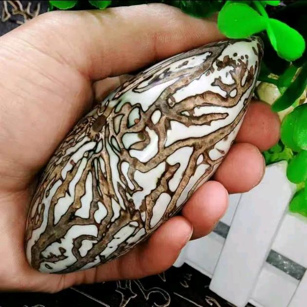 木子李精选菩提的头像