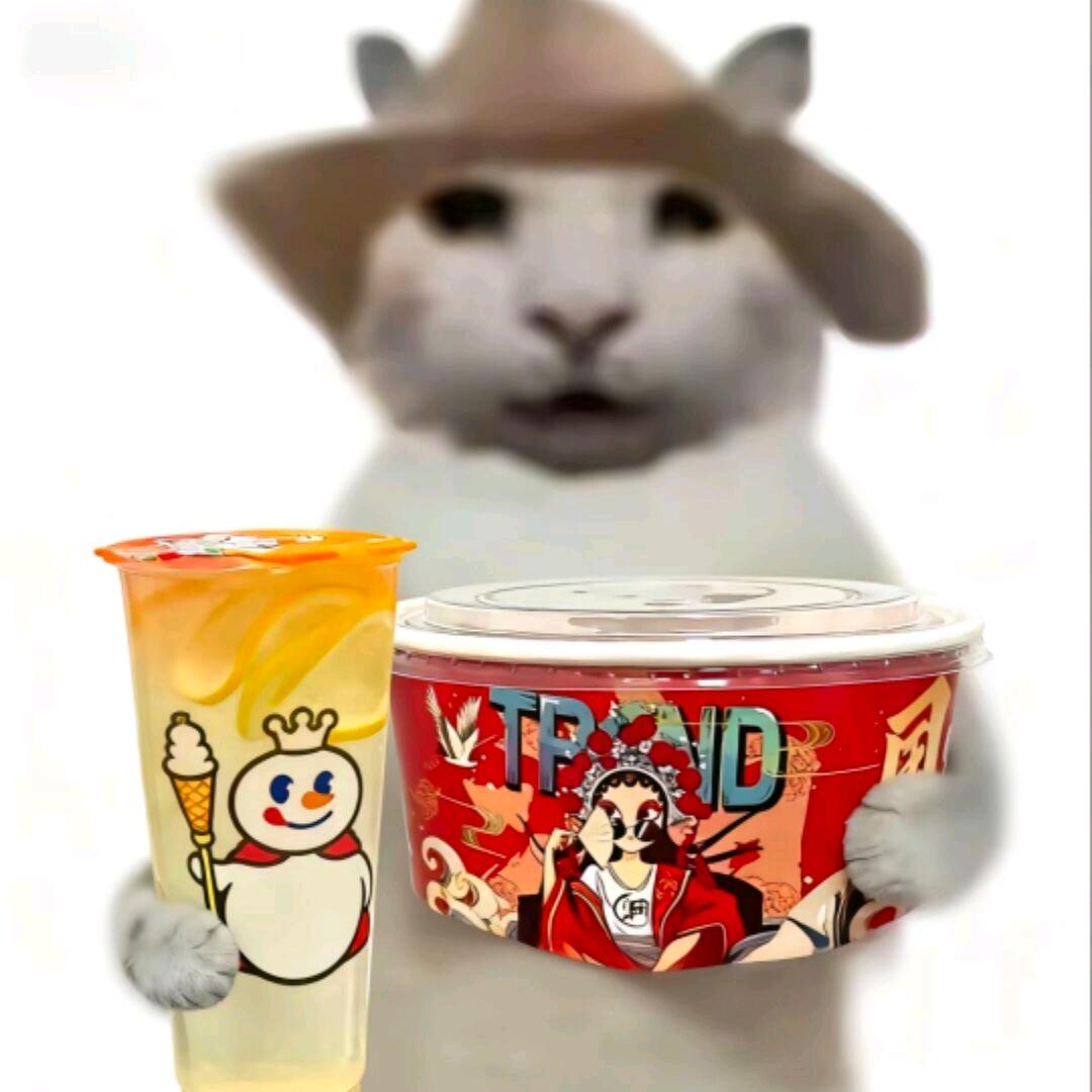 𝙃𝙤𝙡𝙡𝙮头像