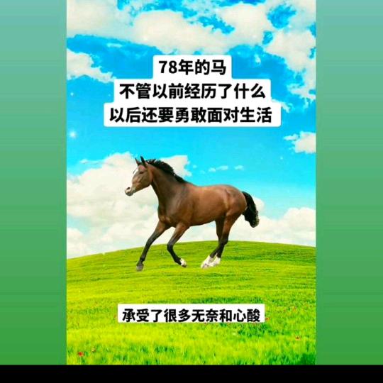 丁小燕？？一辈子的苦命。伤痛了心。