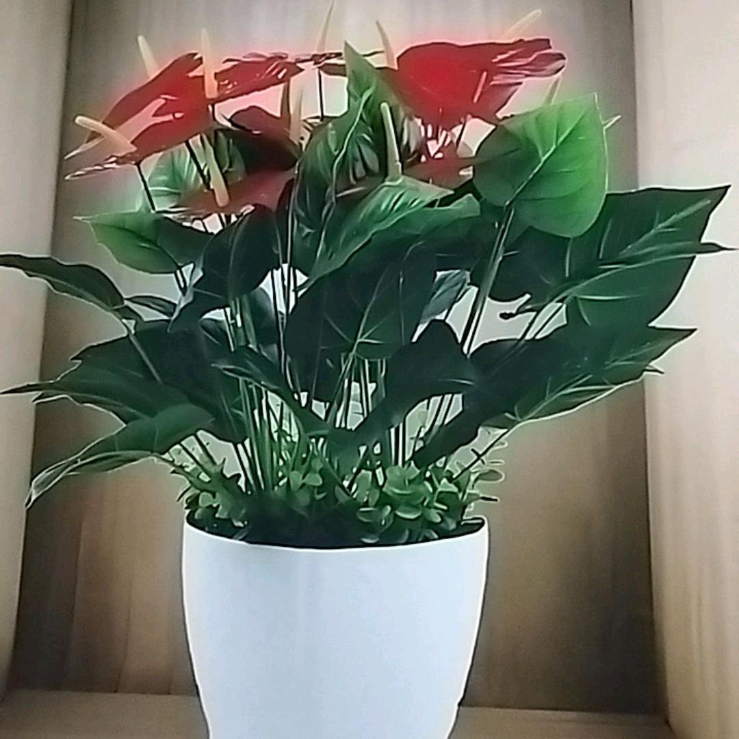 《宝宝日常》娟