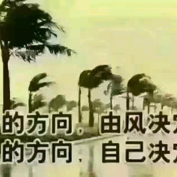 美好的明天