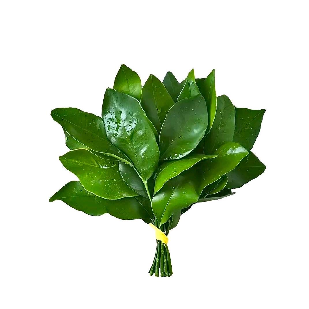 荔枝只只