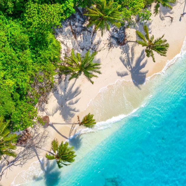 一个人去旅行周游世界看看风景@