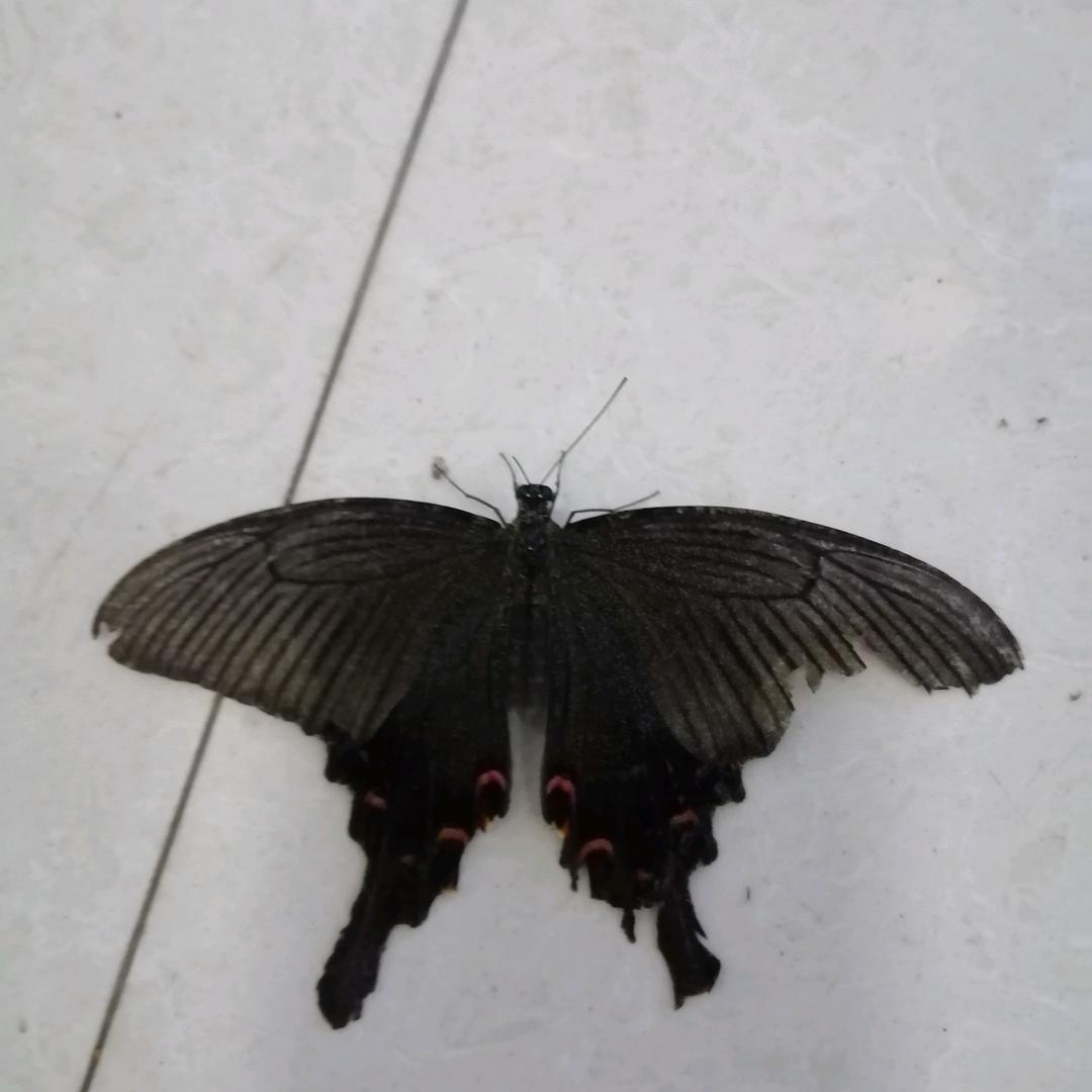风轻云淡