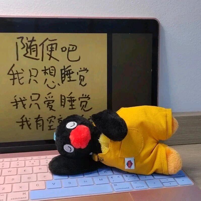 🌈v wu~🌈