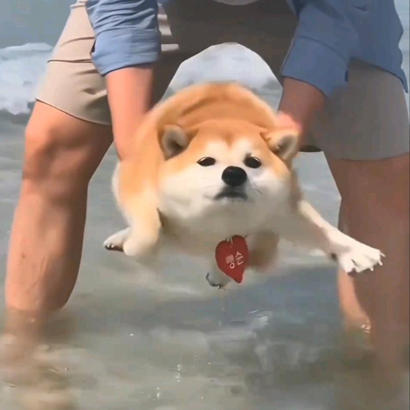 隐元