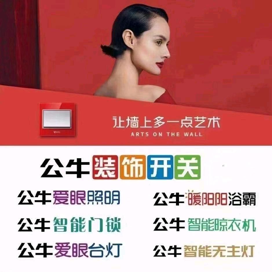 公牛开关(天津宁汉运营中心)