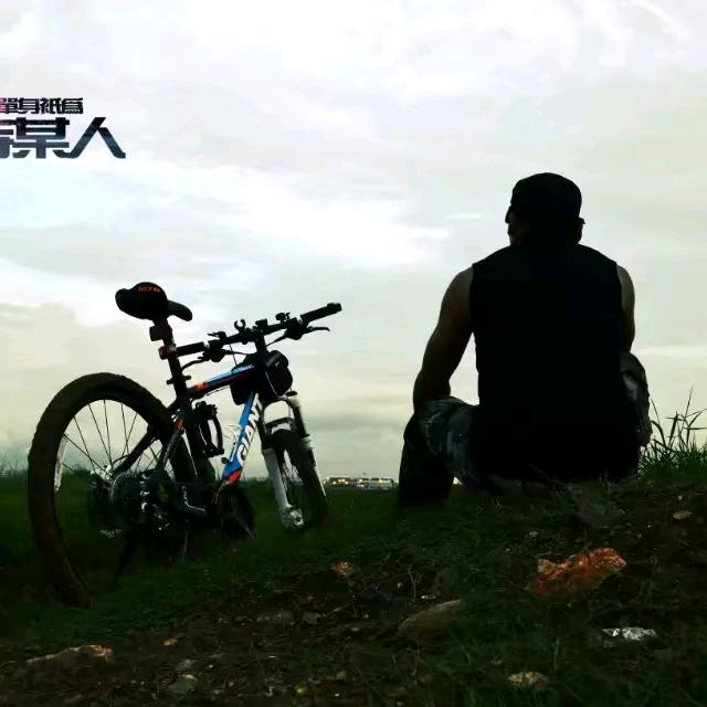 阿冰不会飞