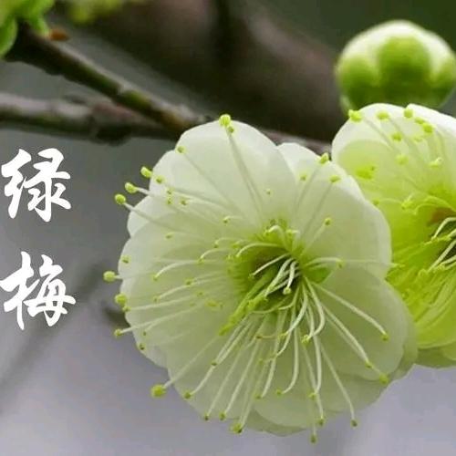 梅梅的零食铺