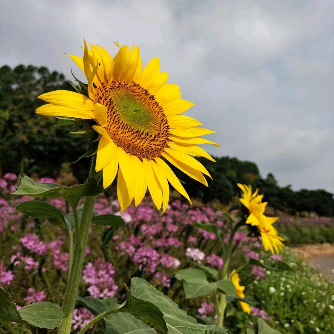 禧悦时光
