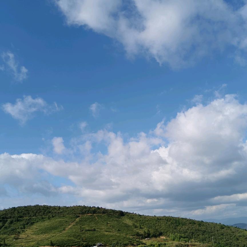 云淡（三角洲行动）