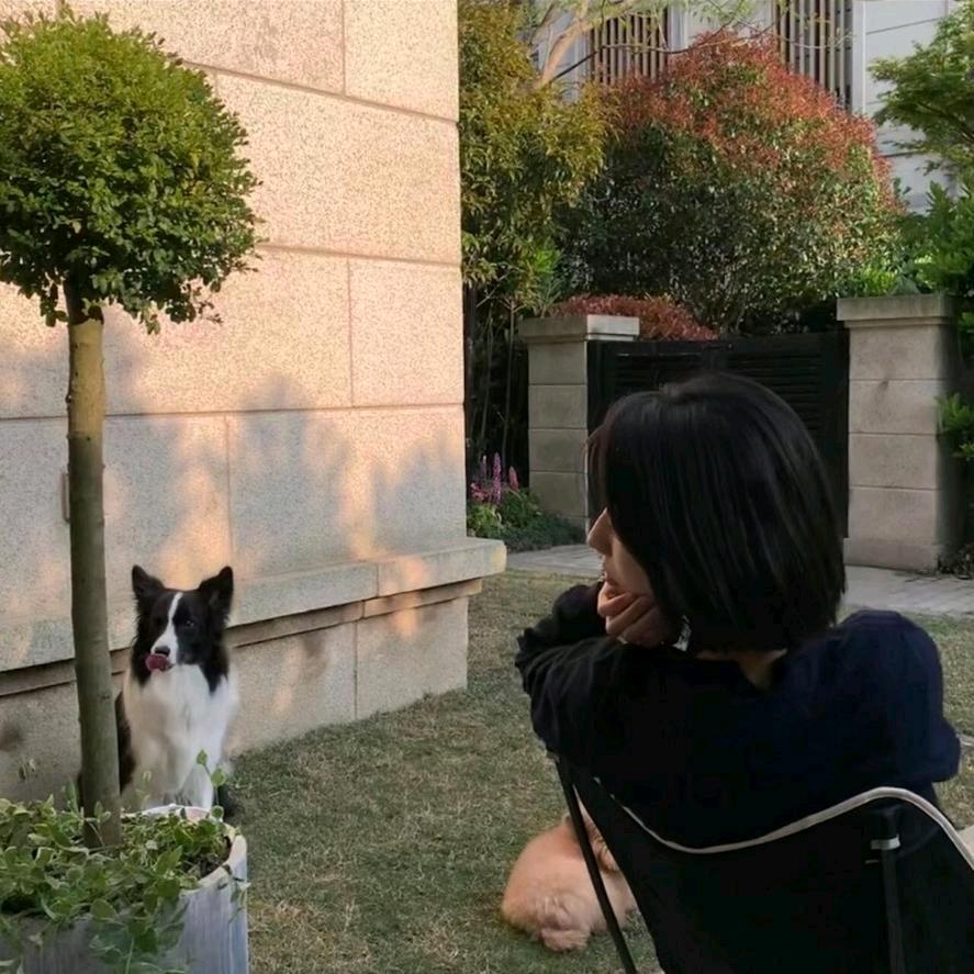 日落前许愿.