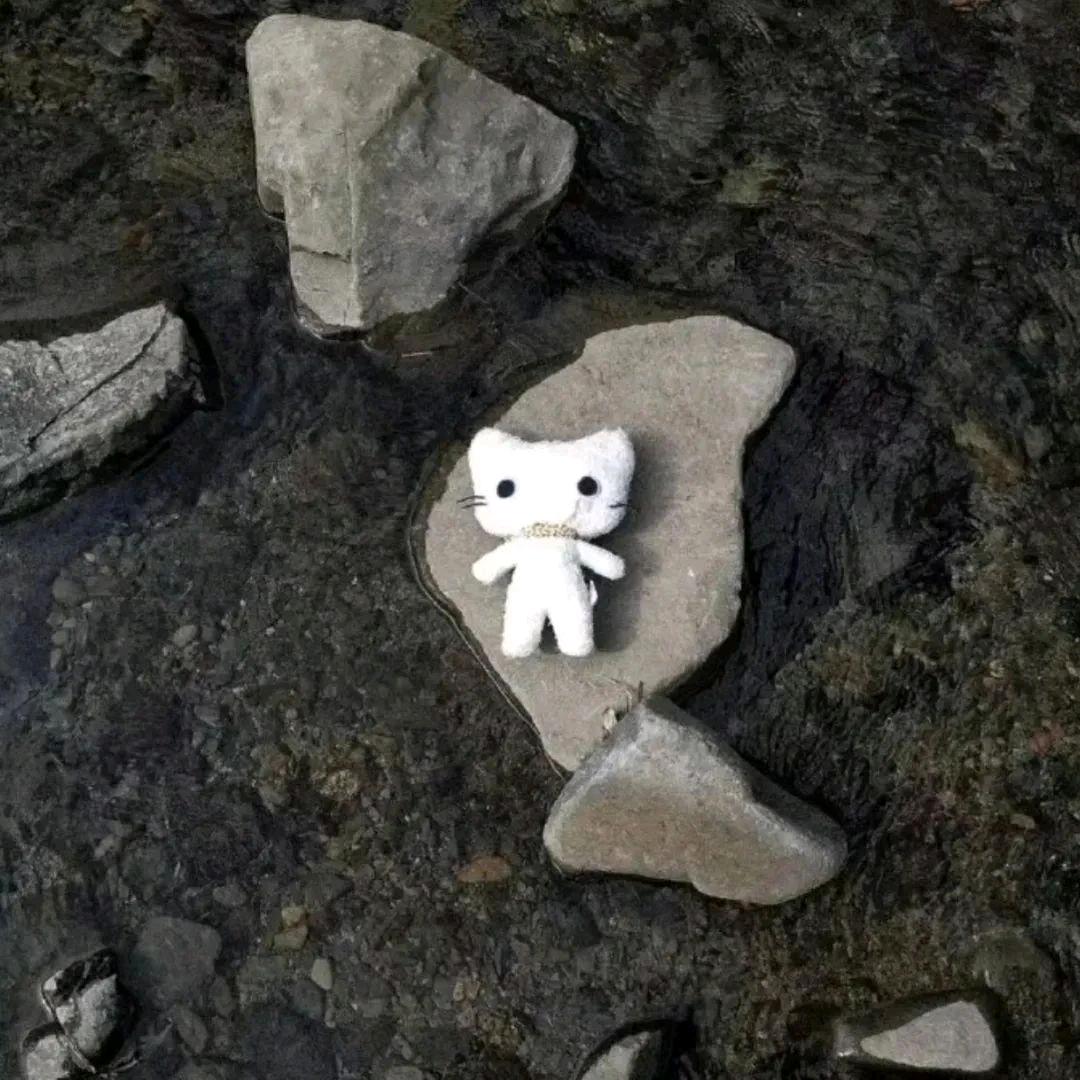 悲伤排骨玉米汤