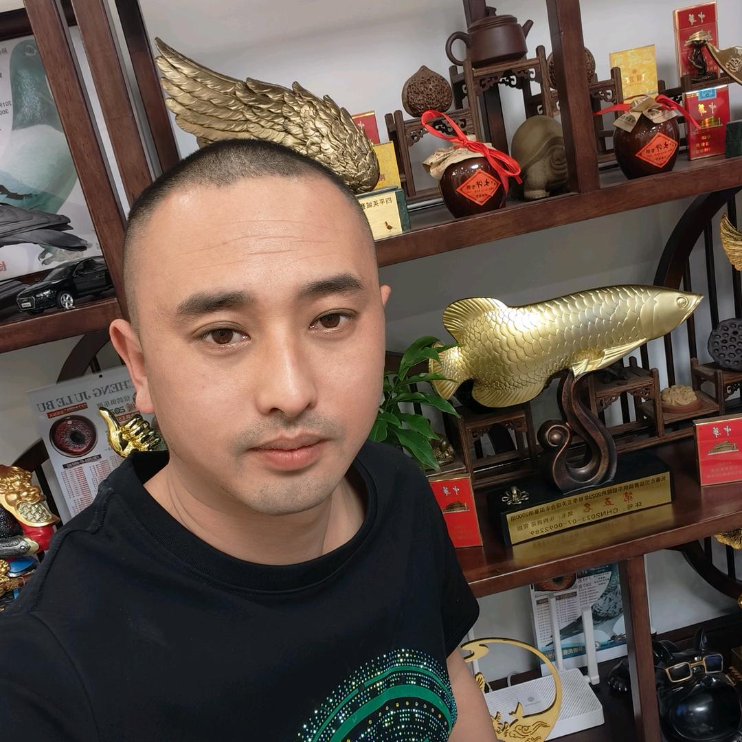 北默国际赛鸽育种中心