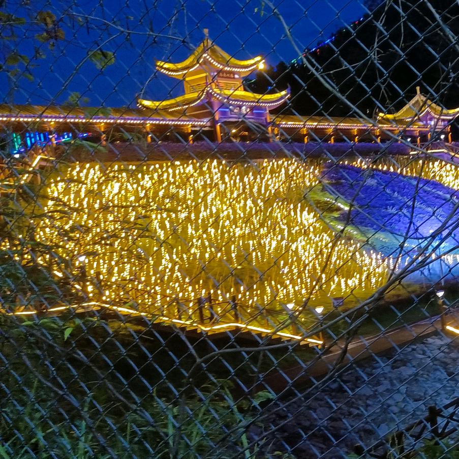小罗瑞