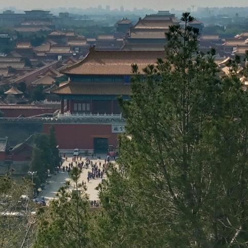 美好的新未来