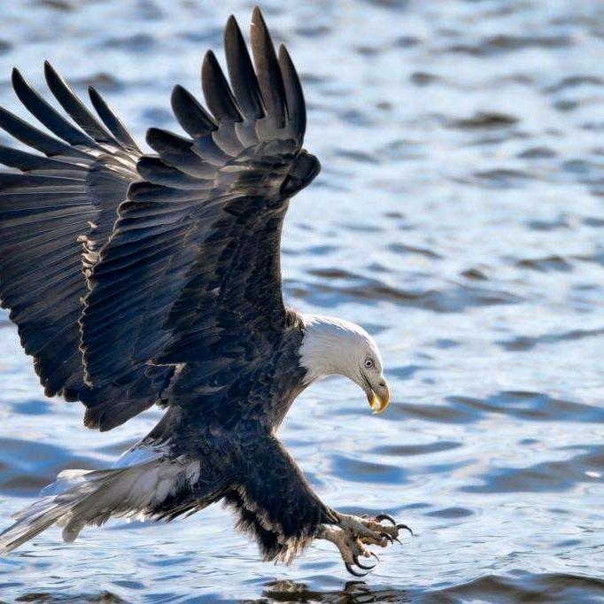 吴江阳歆纺织.苏州曼陀罗纺织欢迎您