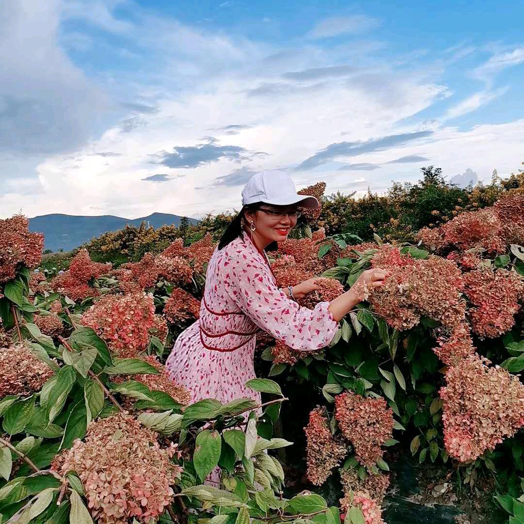 艾初美隆木良草养生馆