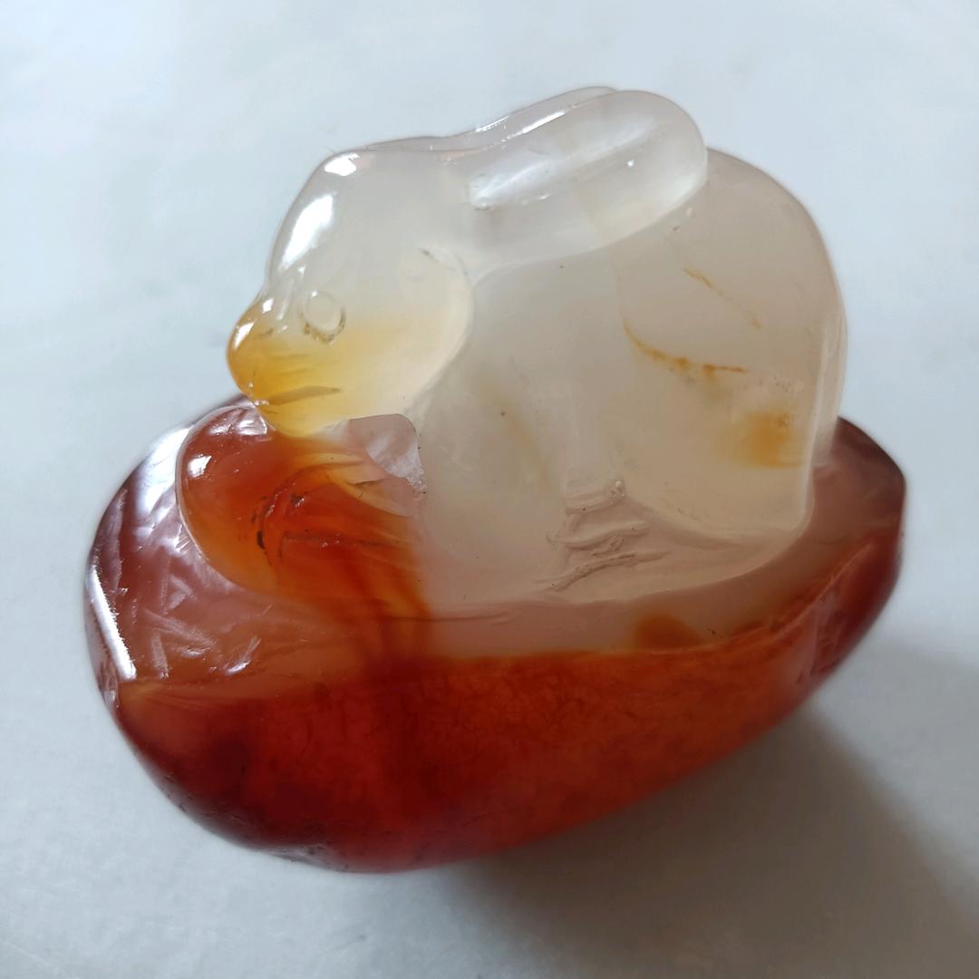 玉兔