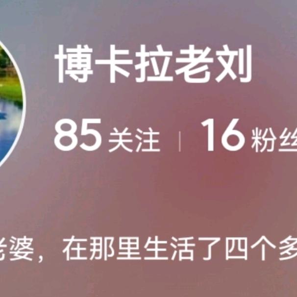 博卡拉老刘
