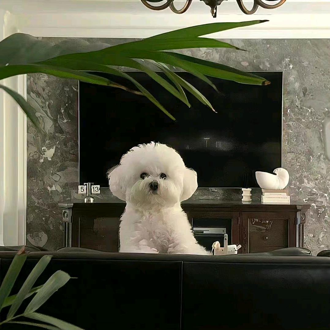 周身痛