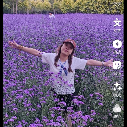 💋 ²⁰²⁴英英