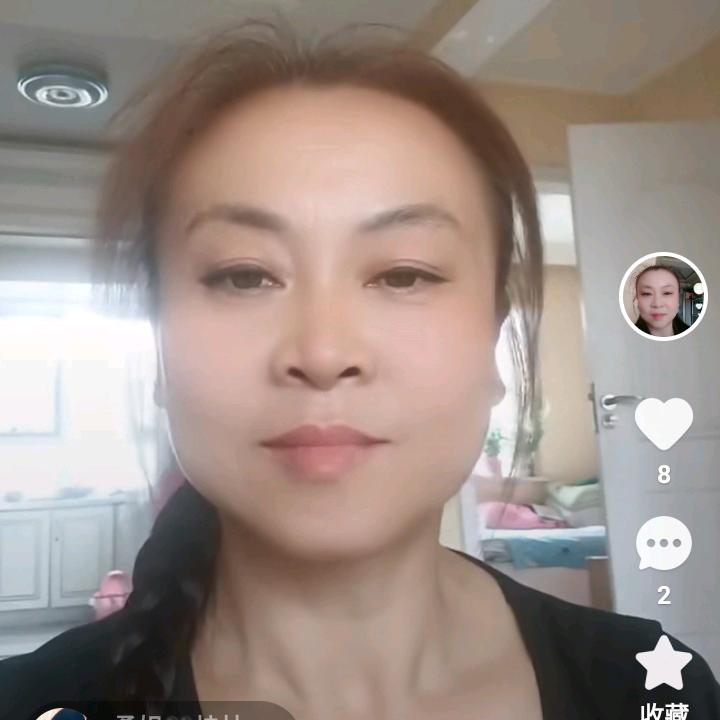 盛开的玫瑰