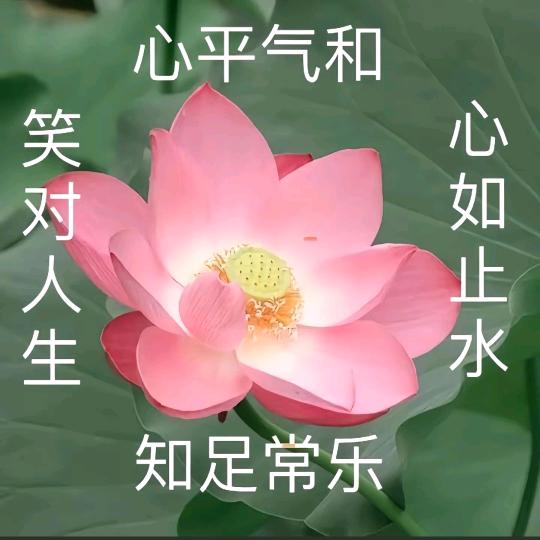 禁欲六舅