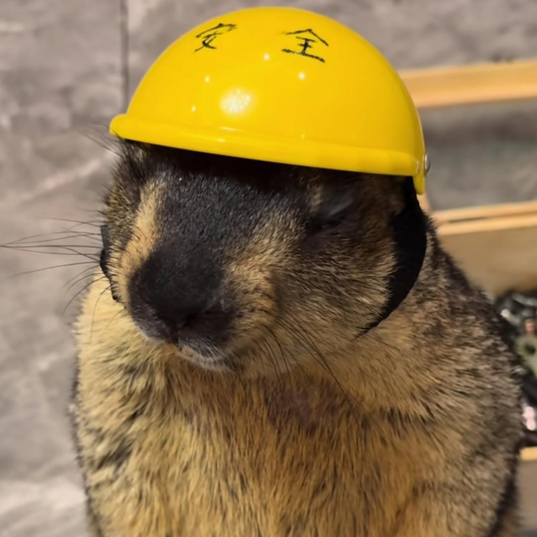 🌈二十一杭🌈