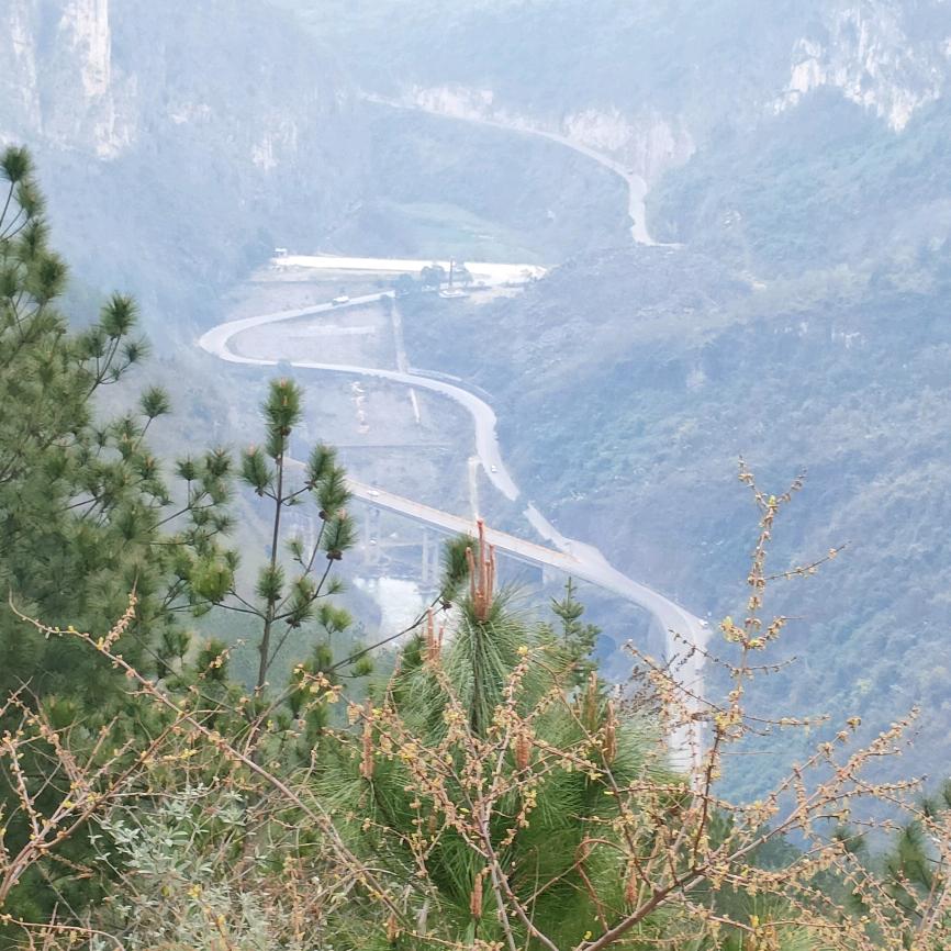 圣墩表哥