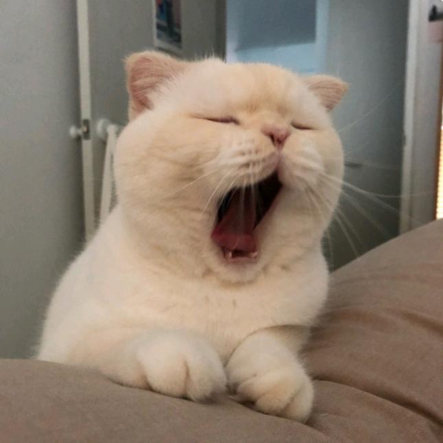 落吟语