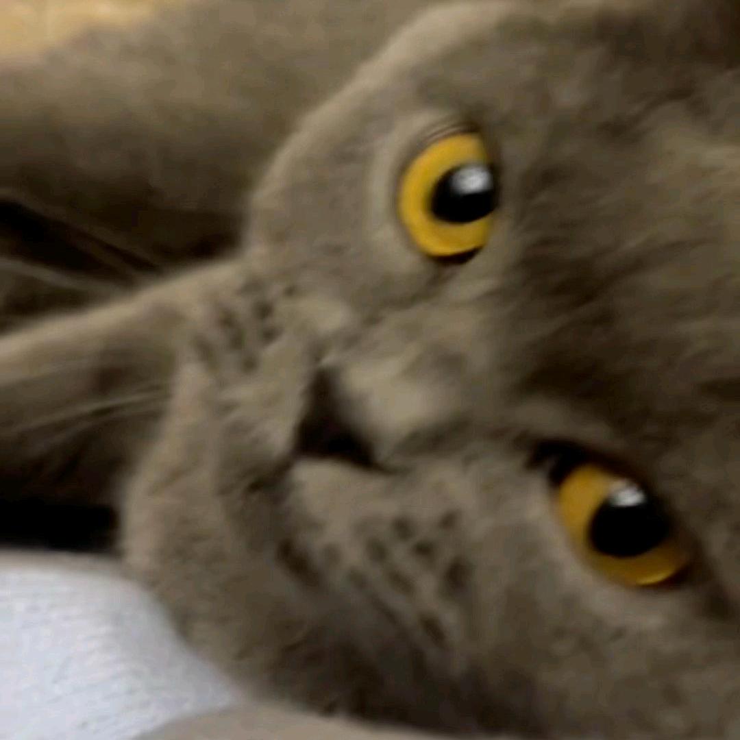 名字30天内已修改3次