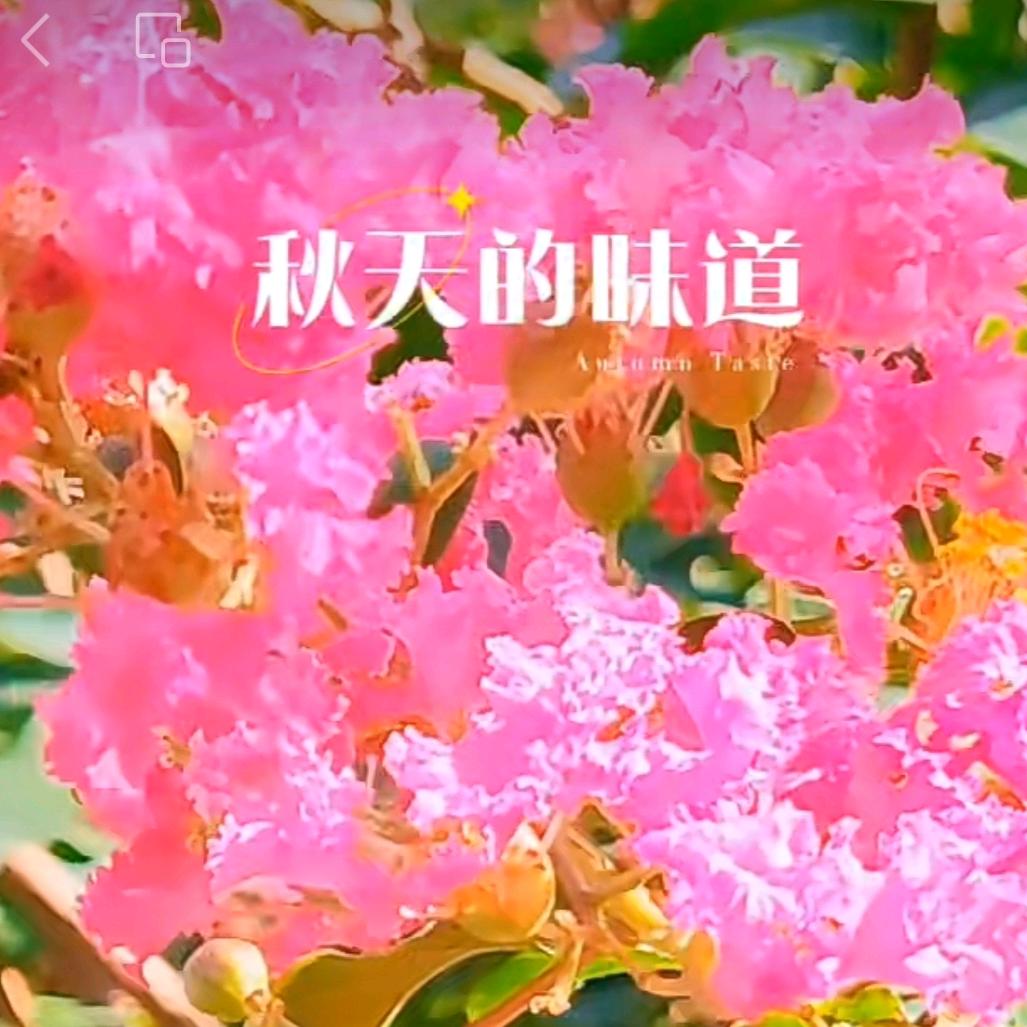 叫我淡定