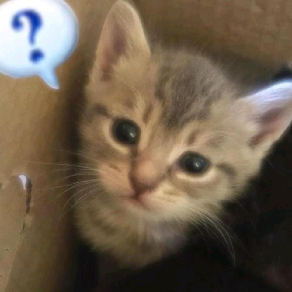 忧郁蓝色土豆丝^