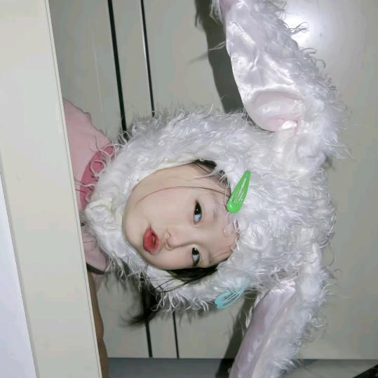 特依安