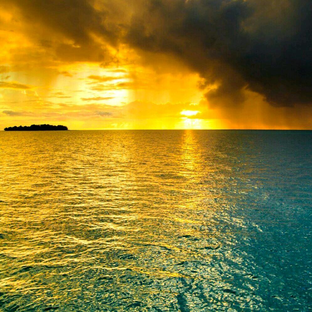 菲菲菲菲常美丽1⁰⁶³³