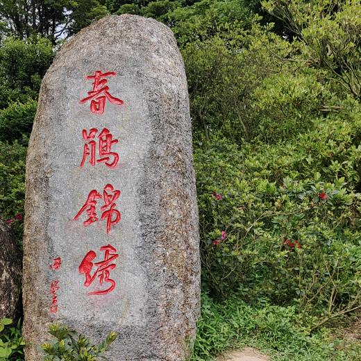 寒风户外